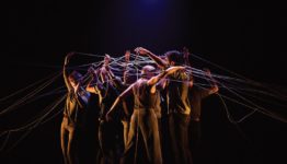 L’ÉCHO DES RACINES