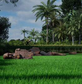 expo test
